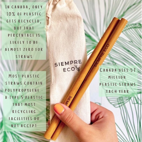 Siempre Eco Sustainable Zero Waste Bamboo Straw + Brush Set - 2+1pcs - Picture 3 of 4